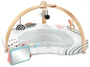 Centru de activitati Skip Hop Discoverosity Play Gym foto