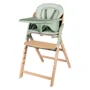 Scaun de masa 3 in 1 Lionelo Megan Green Wood foto