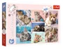 Puzzle Trefl In lumea pisicilor, 100 el. foto