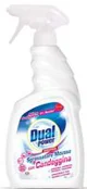 Spray cu clor activ pentru actiune antibacteriana Dual Power Candeggina, 750 ml foto