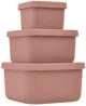 Набор силиконовых контейнеров KikkaBoo Platinum Snack Box Blush, 3 шт. foto