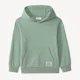 Orchestra Hoodie Green foto