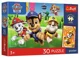 Puzzle Trefl Paw Patrol: Caini pe drum, 30 el. foto