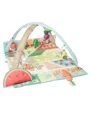 Развивающий игровой коврик Skip Hop Farmstand Grow & Play foto