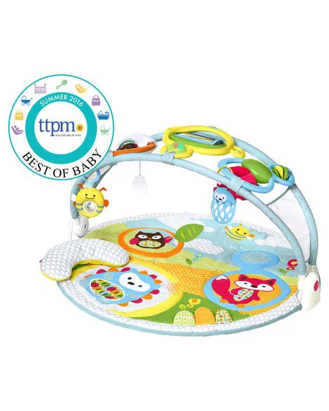 image for Развивающий игровой коврик Skip Hop Explore & More foto