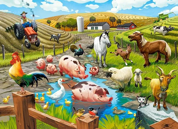 Puzzle Castorland Life on the Farm, 70 MIDI piese foto