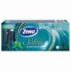 Сухие салфетки Zewa Softis Menthol (4 слоя), 10x10 шт.
