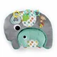 Набор подушек Bright Starts Two Can Play™