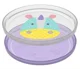 Set 2 farfurii anti-alunecare Skip Hop Zoo Unicorn foto