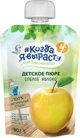 Piure Когда Я вырасту de mere (4+ luni), 90 g