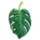 Saltea gonflabila Intex Palm Leaf, 206x132x20 cm foto