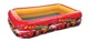 Детский бассейн Intex Cars 262x175x56 foto