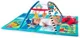 Salteluta de activitati Baby Einstein Discovery Seas