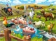 Puzzle Castorland Life on the Farm, 70 MIDI piese foto