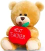 Jucarie moale Pipp the Bear Ursuletul cel mai bun profesor, 14 cm