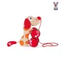 Catelus "Pull Along Puppy" Hape foto