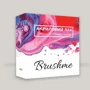 Lac acrilic BrushMe pentru acoperirea picturii