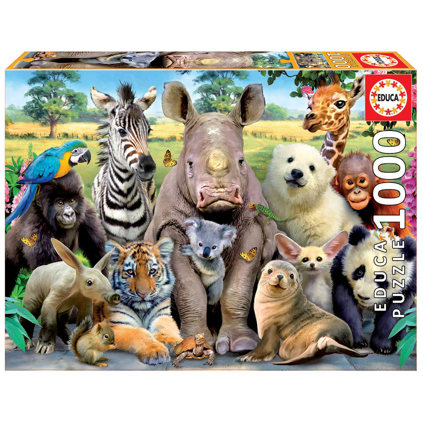Пазл Educa  Классное фото,1000 деталей