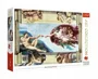 Puzzle Trefl The Creation of Adam, 1000 piese foto