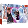 Puzzle Trefl Joyful moments / Disney Frozen 2, 160 piese