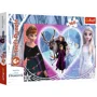 Puzzle Trefl Joyful moments / Disney Frozen 2, 160 piese foto