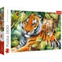 Puzzle Trefl Two tigers, 1500 piese foto