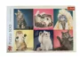 Puzzle Trefl Kittens, 500 piese foto