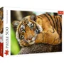 Puzzle Trefl Tiger portrait, 500 piese foto