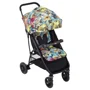 Carucior Graco Breaze Lite Kaleidoscope foto