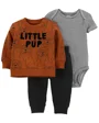 Carter's Set 3 piese Bluza, body si pantaloni Catei foto