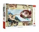 Puzzle Trefl The Creation of Adam, 1000 piese foto