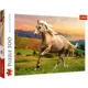 Puzzle Trefl Afternoon gallop in the sun, 500 piese foto