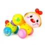 Jucarie muzicala Hola Toys Omida