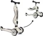 Trotineta transformabila 2 in 1 Scoot & Ride HighwayKick 1 Ash foto