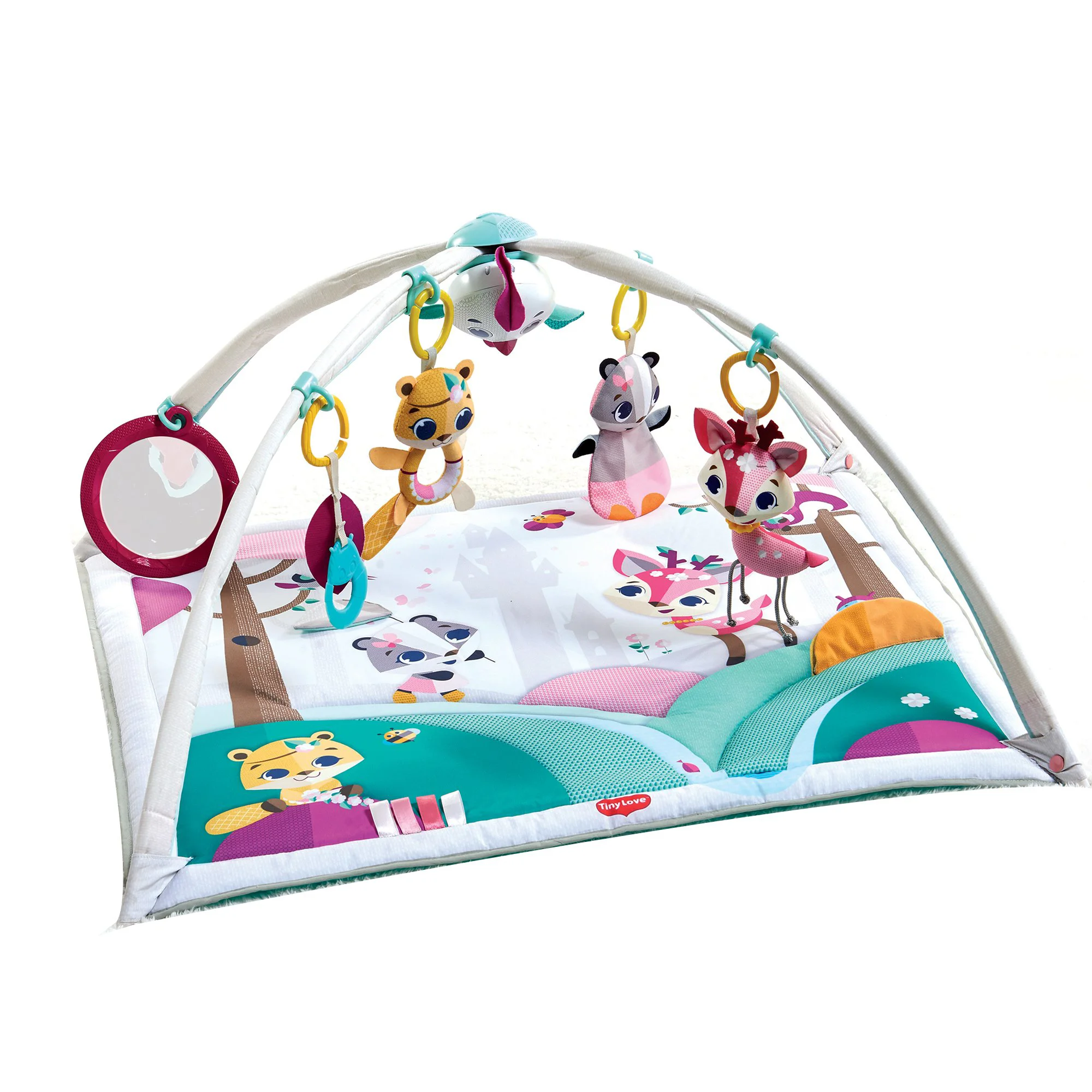 Salteluta de activitati Tiny Love Gymini Deluxe Princess Tales foto