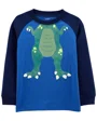 Carter's Bluza Dinozaur foto