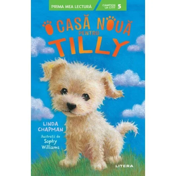 image for O casa noua pentru Tilly. Editura Litera foto
