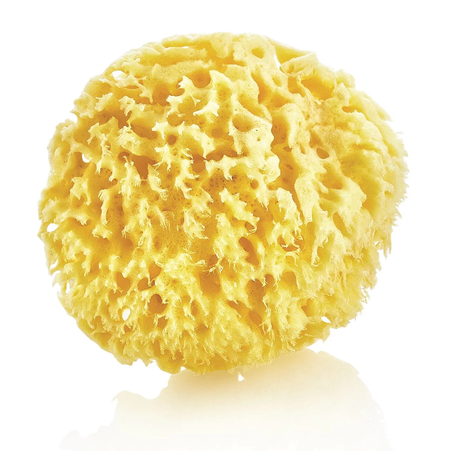 Burete natural pentru bebelusi BabyJem Sea Sponge