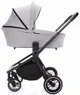 Carucior 2 in 1 ZOPA Move Silver Grey/Black foto