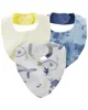 Carter's Set 3 piese bavete Pestisori