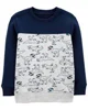 Carter's Bluza Dinozauri foto
