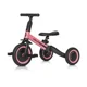 Bicicleta 4 in 1 Colibro Tremix Rose foto