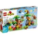 LEGO Duplo Wild Animals of South America foto