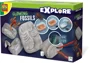 Set educativ SES Creative Exploreaza, Schelete de insecte fosforescente