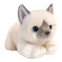 Мягкая игрушка Signature Cuddle Котенок кремовый, 32 см foto
