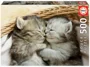 Puzzle Educa Sweet Kittens, 500 piese foto
