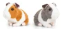 Jucarie de plus Keel Toys Purcelus de Guinea, 16 cm (cu sunet) foto