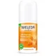 Deodorant Roll-On Weleda 24h cu catina, 50 ml