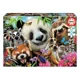 Puzzle Educa Black-Eyed Friends Selfie, 300 piese foto