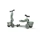 Самокат трансформер 2 в 1 Scoot & Ride HighwayKick 1 Lifestyle Green Lines foto